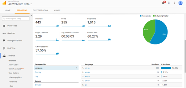 Visitor Analysis Report